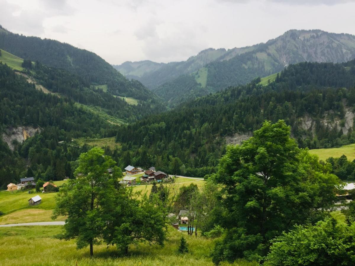 Apartment Ebnit Dornbirn Zewnętrze zdjęcie