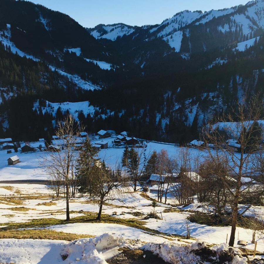 Apartment Ebnit Dornbirn Zewnętrze zdjęcie